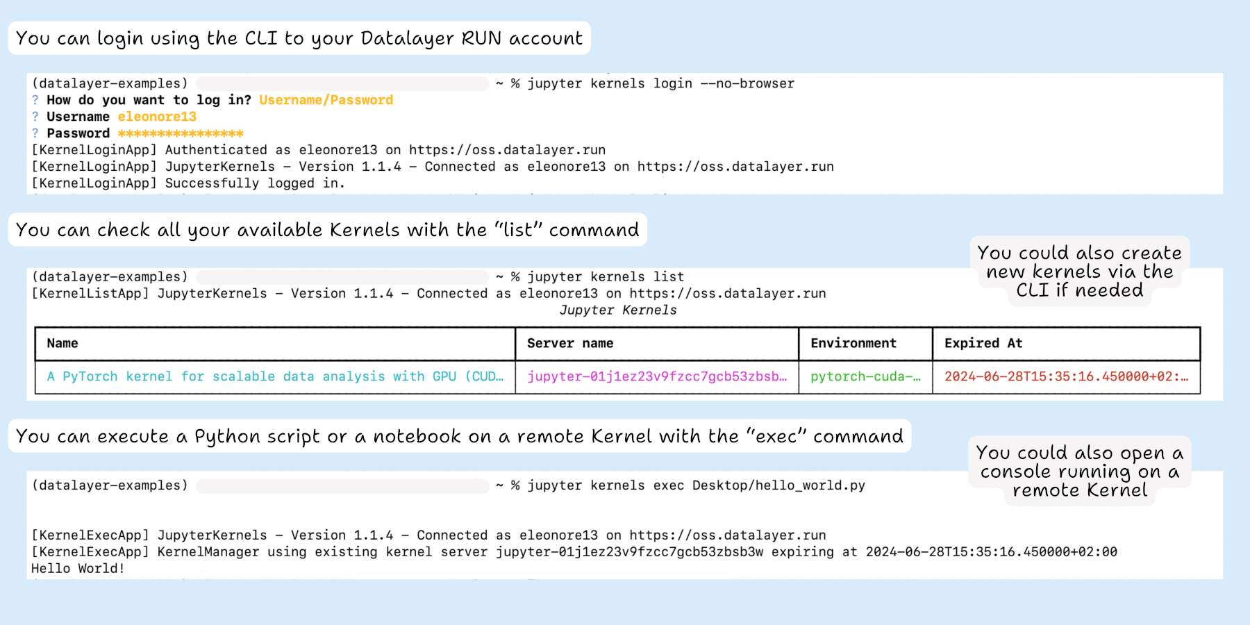 CLI remote execution