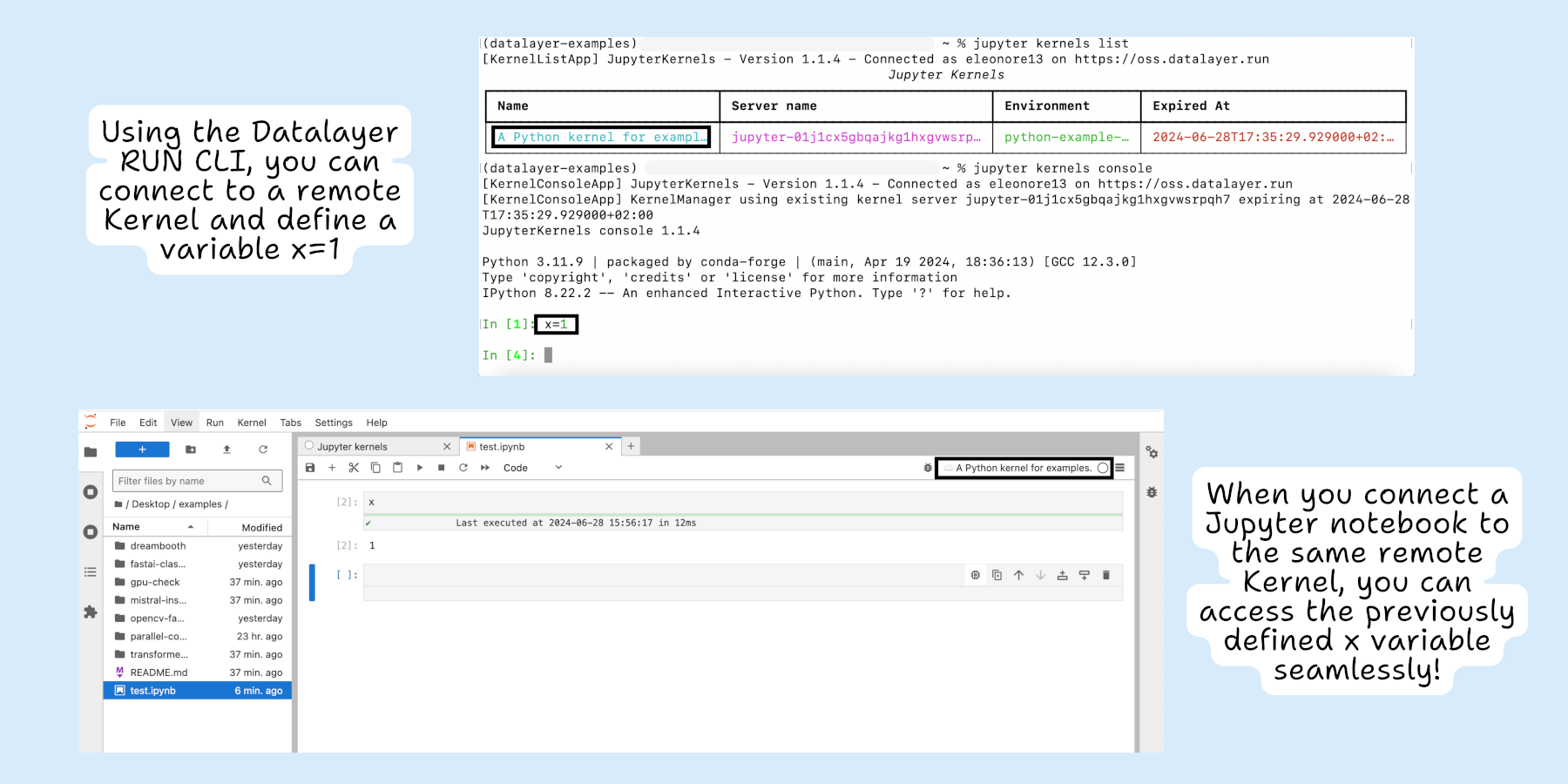 Remote Notebook Execution